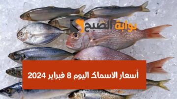 الجمبري الچامبو بكام.. أسعار الأسماك في مصر اليوم الخميس 8 فبراير 2024 بالمحلات والأسواق