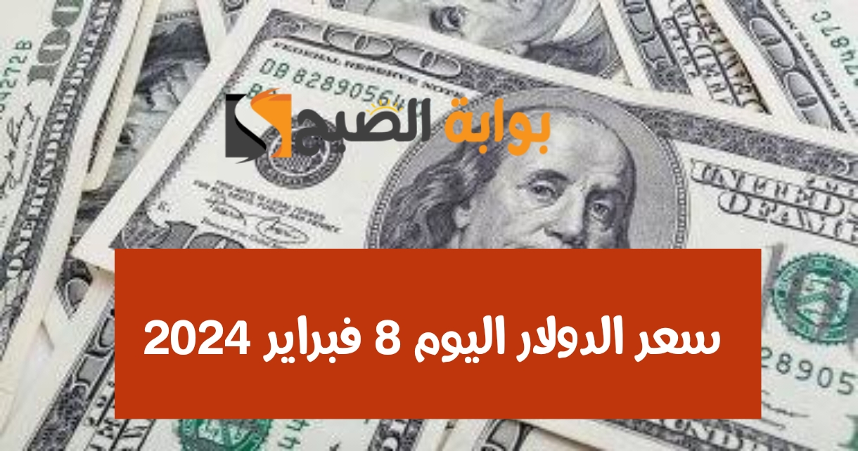وصل كام النهاردة؟ سعر الدولار اليوم أمام الجنيه الخميس 8 فبراير 2024 في البنك المركزي المصري