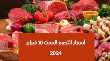 img 1707552729637