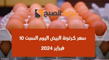 img 1707571056420