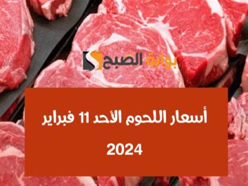 انخفاض جديد.. تعرف على أسعار اللحمة اليوم الأحد 11 فبراير 2024 في الأسواق المصرية