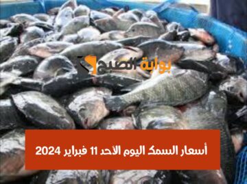 بكام البلطي النهاردة.. أسعار السمك اليوم الأحد 11 فبراير 2024 في الأسواق المصرية
