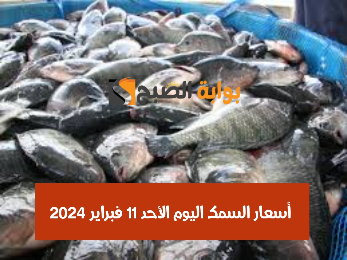 بكام البلطي النهاردة.. أسعار السمك اليوم الأحد 11 فبراير 2024 في الأسواق المصرية 5 بكام البلطي النهاردة.. أسعار السمك اليوم الأحد 11 فبراير 2024 في الأسواق المصرية