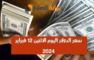 وصل كام النهاردة؟.. سعر الدولار مقابل الجنيه المصري اليوم الاثنين 12 فبراير 2024