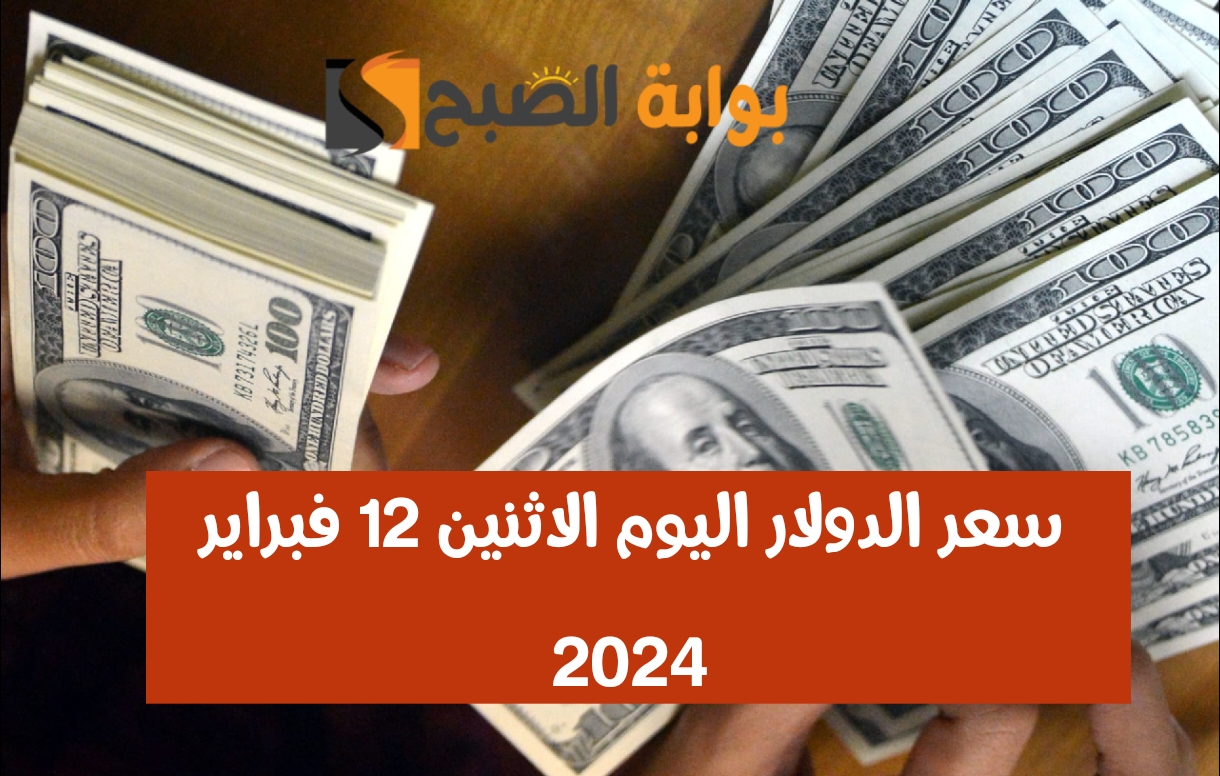 وصل كام النهاردة؟.. سعر الدولار مقابل الجنيه المصري اليوم الاثنين 12 فبراير 2024