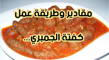 img 1707739138479