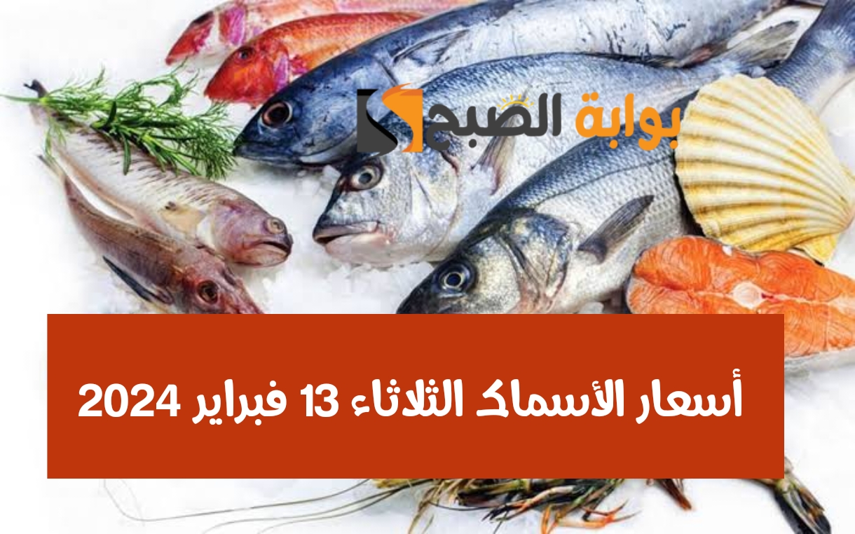 بكام البلطي النهاردة.. مفاجأة في أسعار الأسماك الثلاثاء 13 فبراير 2024 بمناسبة شهر رمضان 5 بكام البلطي النهاردة.. مفاجأة في أسعار الأسماك الثلاثاء 13 فبراير 2024 بمناسبة شهر رمضان