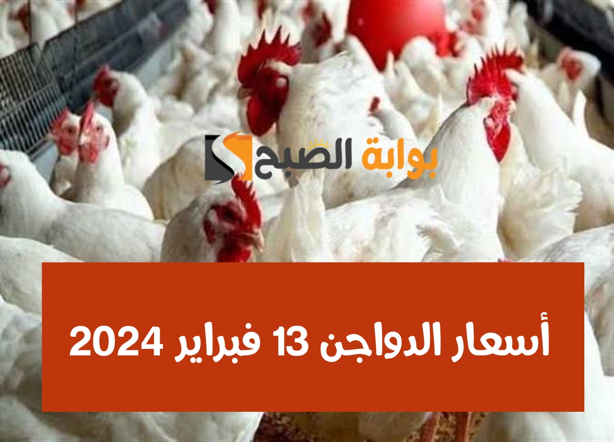 بمناسبة شهر رمضان.. مفاجأة في أسعار الفراخ الثلاثاء 13 فبراير 2024.. وهذا ثمن كرتونة البيض