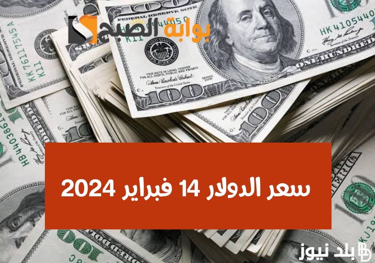 اعرف السعر أول بأول.. سعر الدولار مقابل الجنيه المصري اليوم الأربعاء 14 فبراير 2024 في البنوك 5 اعرف السعر أول بأول.. سعر الدولار مقابل الجنيه المصري اليوم الأربعاء 14 فبراير 2024 في البنوك