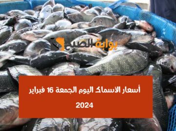 بحري يا بحري.. أسعار الأسماك اليوم الجمعة 16 فبراير 2024 في سوق العبور