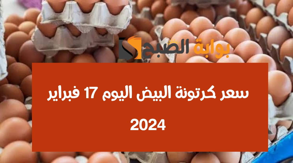 «سعر كرتونة البيض» اليوم السبت 17 فبراير 2024 ومفاجأة في أسعار الدواجن بمناسبة اقتراب شهر رمضان