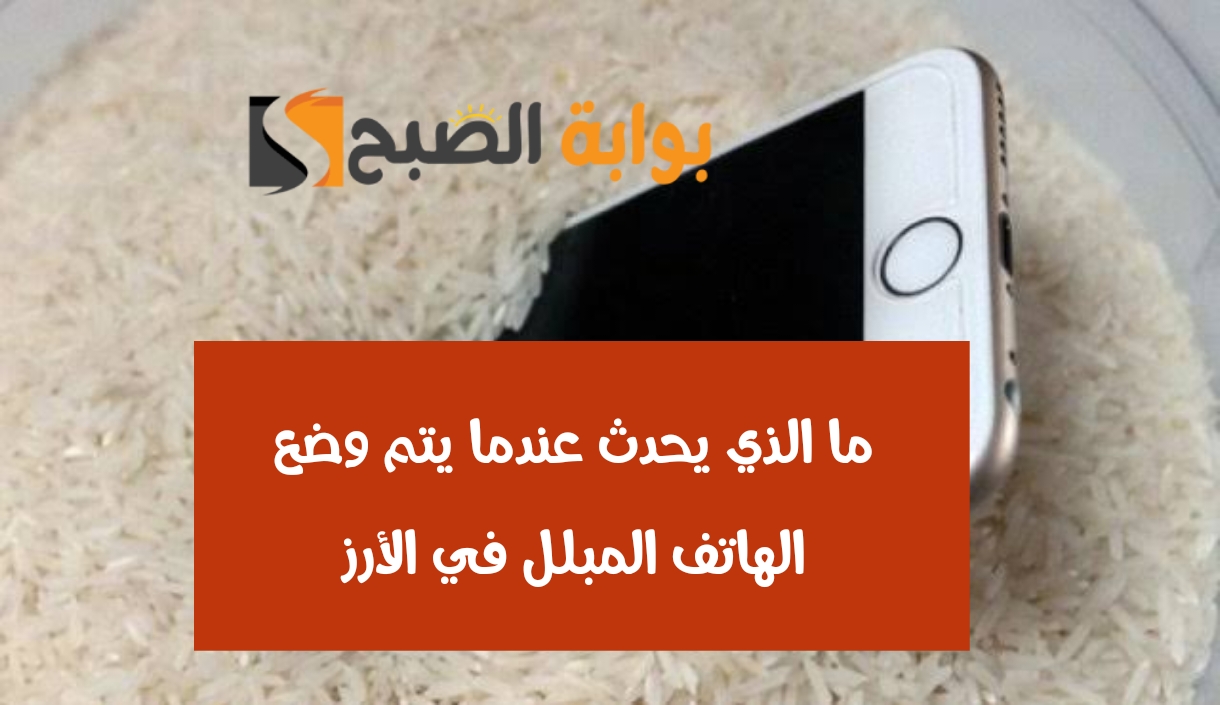 «إيه الفائدة».. ما الذي يحدث عندما يتم وضع الهاتف المبلل في الأرز 2 «إيه الفائدة».. ما الذي يحدث عندما يتم وضع الهاتف المبلل في الأرز
