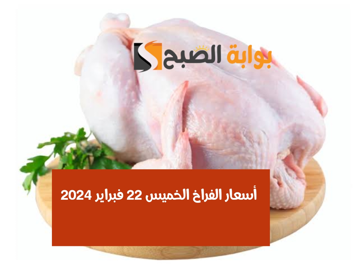 كيلو البانيه بكام.. أسعار الفراخ اليوم الخميس 22 فبراير 2024 في المزارع والأسواق 5 كيلو البانيه بكام.. أسعار الفراخ اليوم الخميس 22 فبراير 2024 في المزارع والأسواق