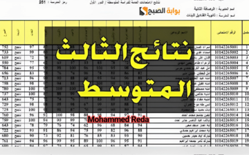 ظهرت الآن رسميا.. نتائج الثالث المتوسط التمهيدي 2024 بالعراق ورابط الحصول عليها