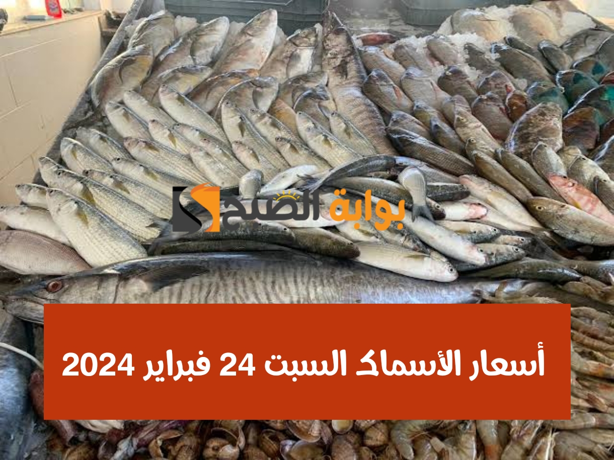 البوري بكام النهاردة.. أسعار الأسماك السبت 24 فبراير 2024 في الأسواق والمجمعات الاستهلاكية 5 البوري بكام النهاردة.. أسعار الأسماك السبت 24 فبراير 2024 في الأسواق والمجمعات الاستهلاكية
