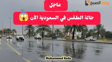 img 1708851475536