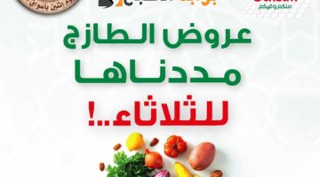 img 1708981809652