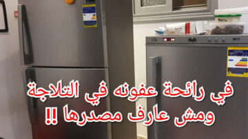 عشان لو بتسألي الريحة دي جاية منين.. طريقة بسيطة للتخلص من رائحة الثلاجة الكريهة