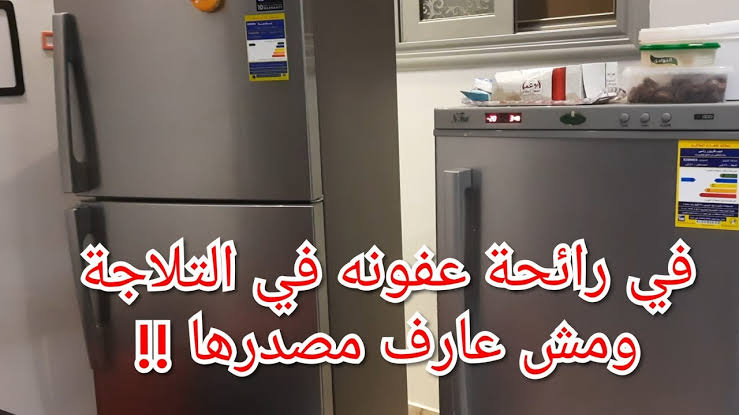 عشان لو بتسألي الريحة دي جاية منين.. طريقة بسيطة للتخلص من رائحة الثلاجة الكريهة 5 عشان لو بتسألي الريحة دي جاية منين.. طريقة بسيطة للتخلص من رائحة الثلاجة الكريهة