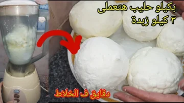 اختراع عبقري من الاخر.. حطى كيلو اللبن في الخلاط وشوفي هيطلع معاكى ايه مش هتشتريها تانى وفري فلوسك