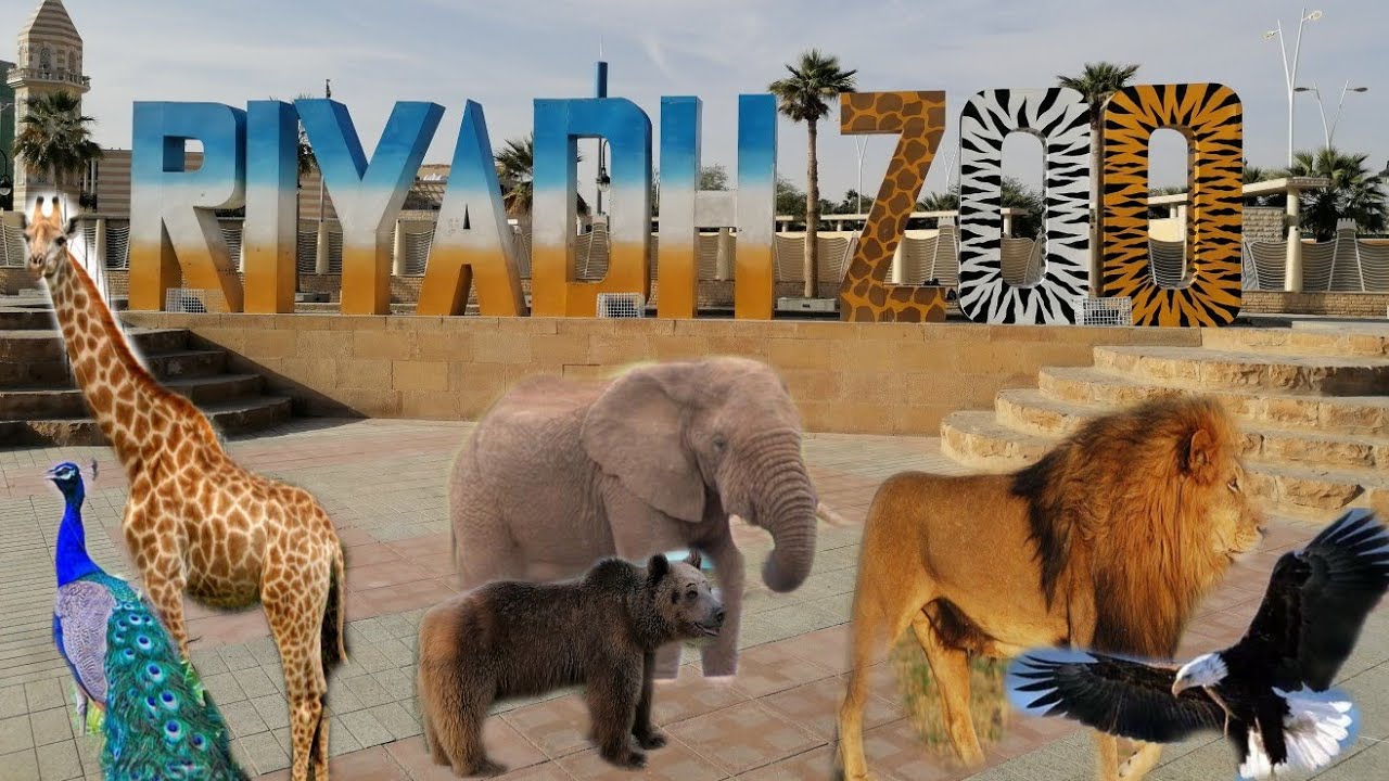اليوم تفتح أبواب حديقة حيوان الرياض.. تعرف علي المواعيد وأسعار التذاكر Riyadh Zoo 2024