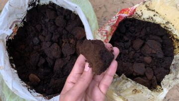 فكرة في الجون.. تفل القهوة طول عمرنا بنرمية ومنعرفش استخدامه طلع كنز من النهارده مش هتستغني عنه تانى