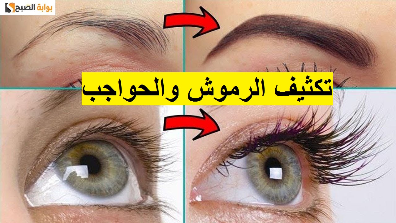 وصفة سحرية لإنبات الرموش والحواجب دون تعب بمكونين فقط 5 وصفة سحرية لإنبات الرموش والحواجب دون تعب بمكونين فقط