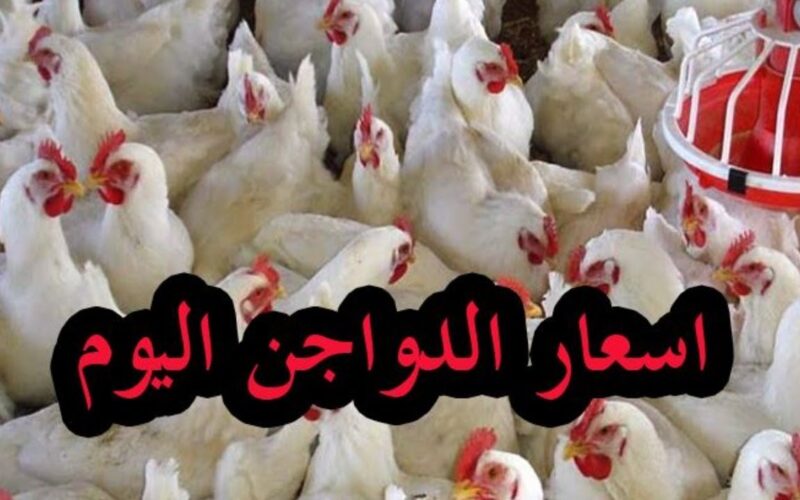 زيادة جديدة في أسعار بورصة الدواجن اليوم السبت 2/2/2024 والبيض في تعاملات الأسواق المصرية 2 زيادة جديدة في أسعار بورصة الدواجن اليوم السبت 2/2/2024 والبيض في تعاملات الأسواق المصرية