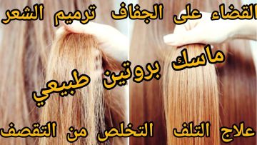 أقوى بروتين طبيعي لتنعيم الشعر الخشن وعلاج التقصف من أول استعمال
