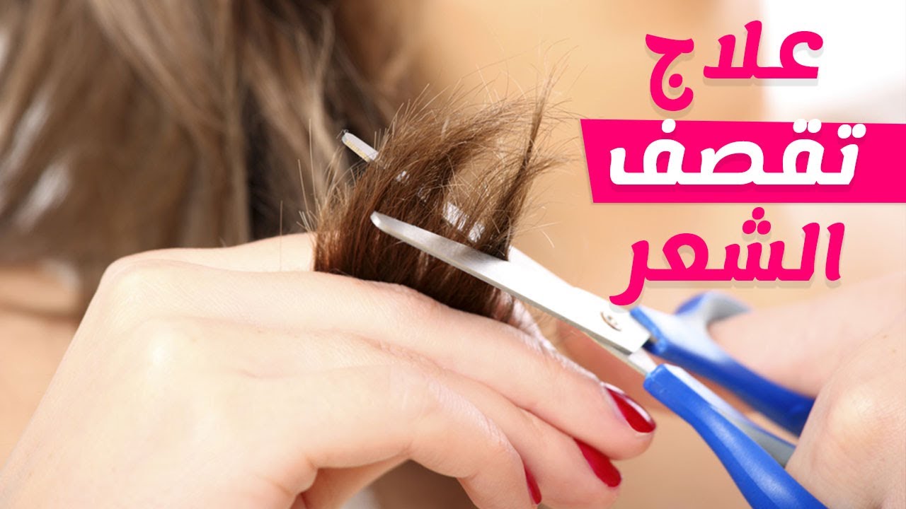 وصفات طبيعية 100% للتخلص من تقصف الشعر وترطيبه في أسرع وقت 5 وصفات طبيعية 100% للتخلص من تقصف الشعر وترطيبه في أسرع وقت