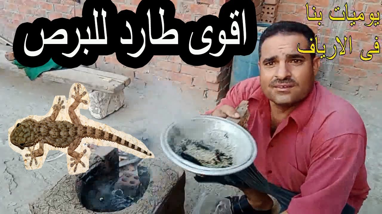برشة واحدة...مكون سري لطرد البرص والوزغ من المنزل نهائيا بدون لمسه والاقتراب منه هيختفي فوراً بدون رجوع 5 برشة واحدة…مكون سري لطرد البرص والوزغ من المنزل نهائيا بدون لمسه والاقتراب منه هيختفي فوراً بدون رجوع