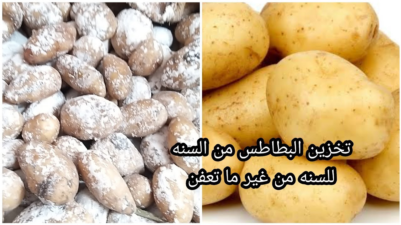 مكون سحري لتخزين البطاطس لرمضان من السنة للسنة بدون ما تسود ولا تتهري هتفضل طازجة كانك شرياها 5 مكون سحري لتخزين البطاطس لرمضان من السنة للسنة بدون ما تسود ولا تتهري هتفضل طازجة كانك شرياها