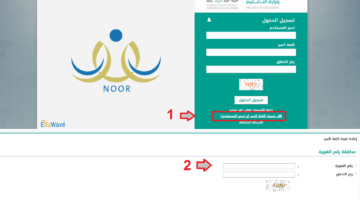 noor 1 1