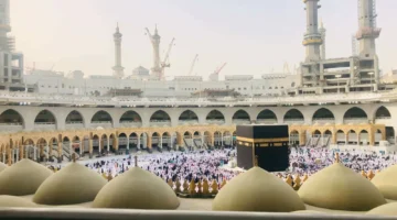 pexels mutahir jamil 116674651 1 1 1600x1200 1