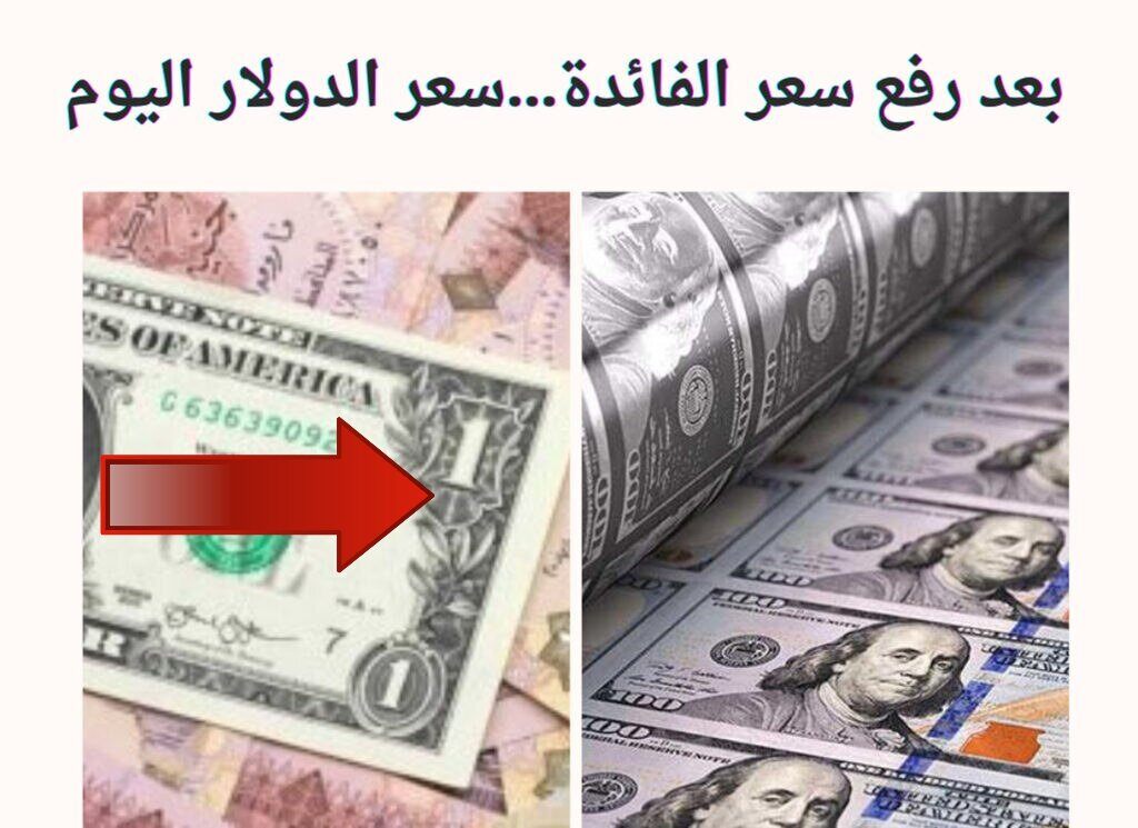 بعد رفع سعر الفائدة…سعر الدولار اليوم 2 فبراير 2024 مقابل الجنيه المصري 5 بعد رفع سعر الفائدة…سعر الدولار اليوم 2 فبراير 2024 مقابل الجنيه المصري