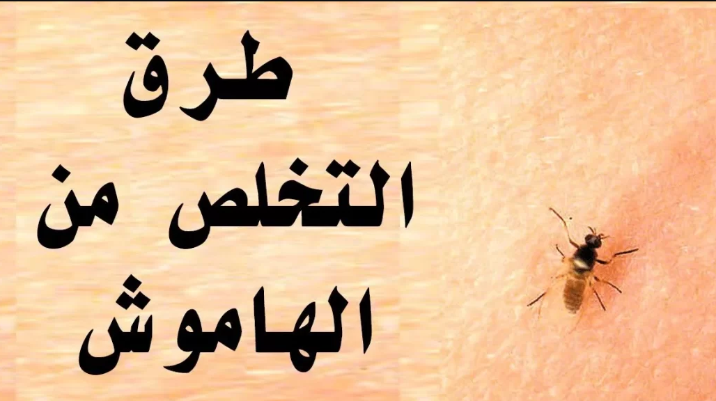 مكون سحري للتخلص من الهاموش نهائيا وبدون رجعة بدون مبيدات حشرية