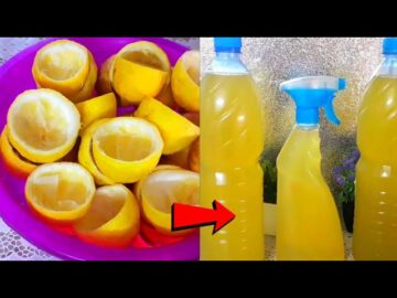 فكرة مدهشة.. قشر الليمون حطيه جوة الزجاجة وانسي انك ترميه تانى من النهارده طريقه متخطرش على بالك