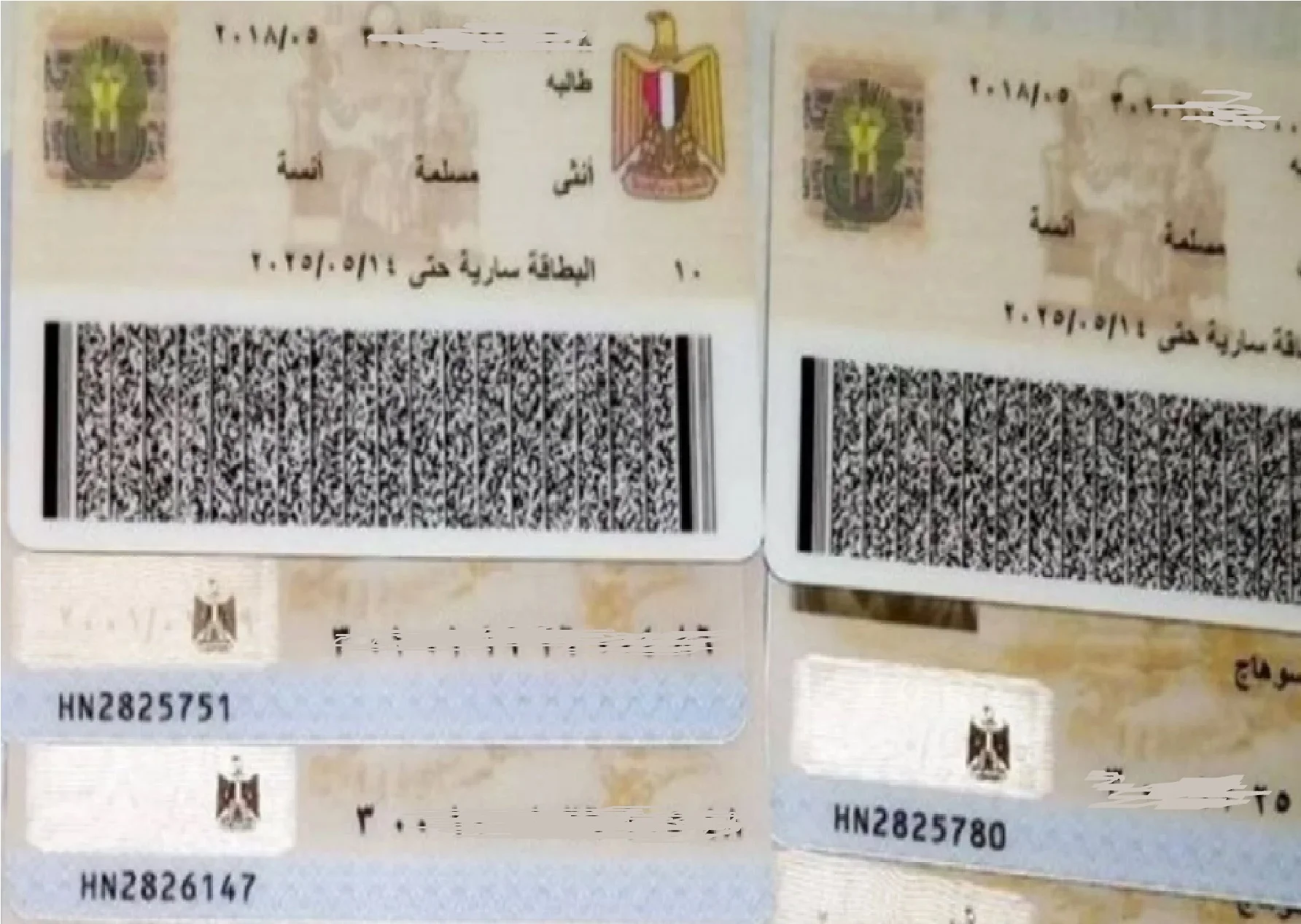 "تخلص من واحدة بسرعة"...حبس وغرامة لمن يحمل أكثر من بطاقة رقم قومي 6 “تخلص من واحدة بسرعة”…حبس وغرامة لمن يحمل أكثر من بطاقة رقم قومي