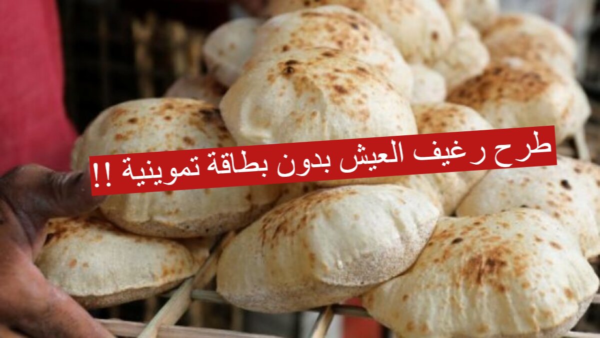طرح رغيف العيش بدون بطاقة تموينية 2024!!.بشرى سارة للمواطنين وتطبيق القرار خلال أيام