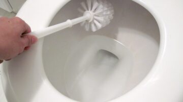 v4 1200px Use A Toilet Brush Step 1