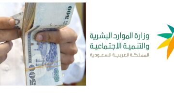 www.elmostaqbal.com 2023 08 01 20 54 12 309343