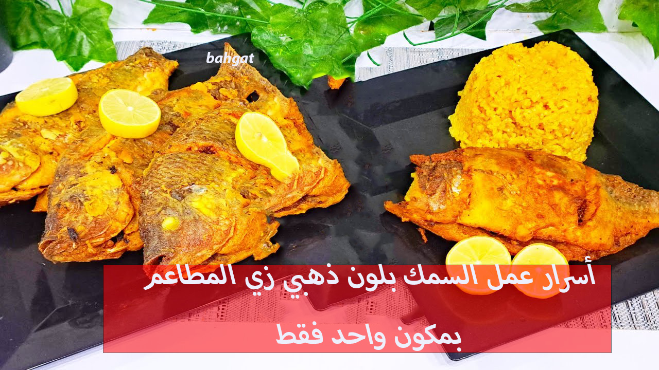 أسرار قلي السمك بلون ذهبي زي المطاعم بإضافة مكون واحد فقط لطعم روعة لا يقاوم 5 أسرار قلي السمك بلون ذهبي زي المطاعم بإضافة مكون واحد فقط لطعم روعة لا يقاوم
