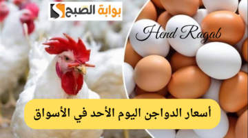 أسعار الدواجن اليوم الأحد في الأسواق