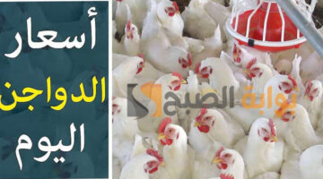 أسعار الدواجن والبيض اليوم الجمعة