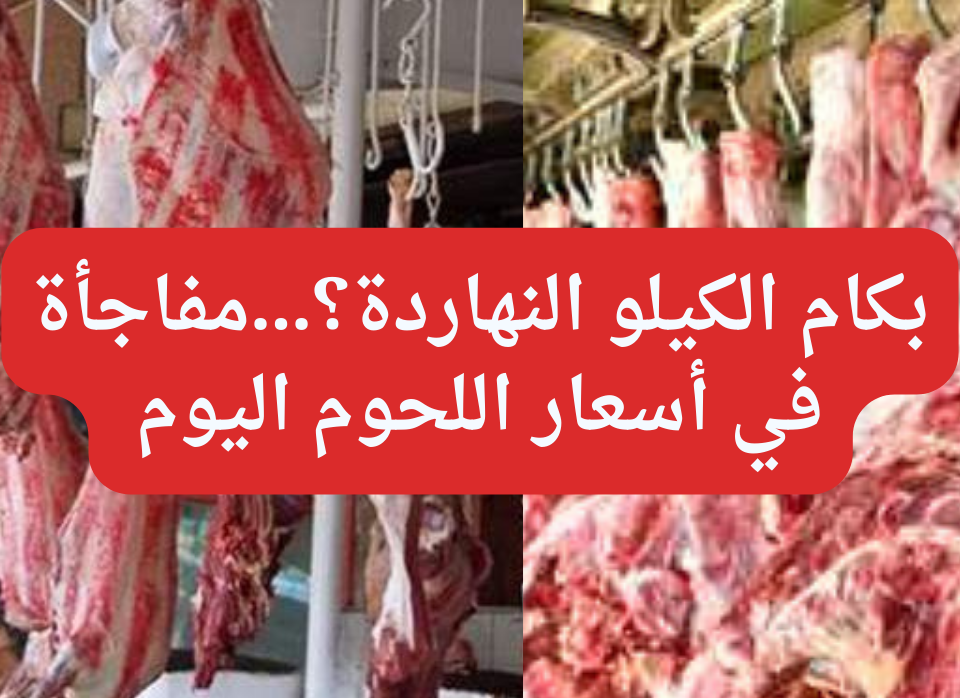 بكام الكيلو النهاردة؟…مفاجأة في أسعار اللحوم اليوم الاثنين 12 فبراير 2024 بالأسواق 5 بكام الكيلو النهاردة؟…مفاجأة في أسعار اللحوم اليوم الاثنين 12 فبراير 2024 بالأسواق