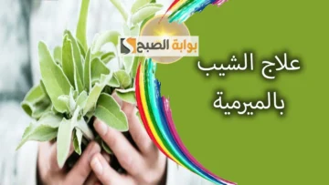 إدهني هذا الماسك على شعرك لإزالة الشعر الأبيض “وصفة جدتي البدوية”