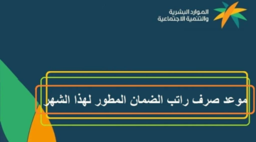 إضاثفة عنوان1
