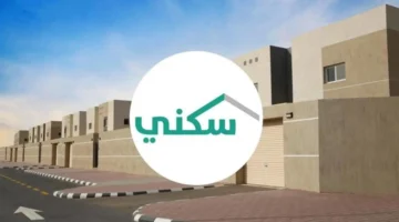 ئئئ1