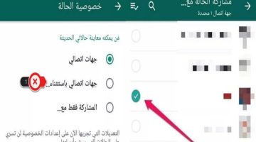 اتحكم في حالة الواتساب. من يمكنه رؤية منشوراتك