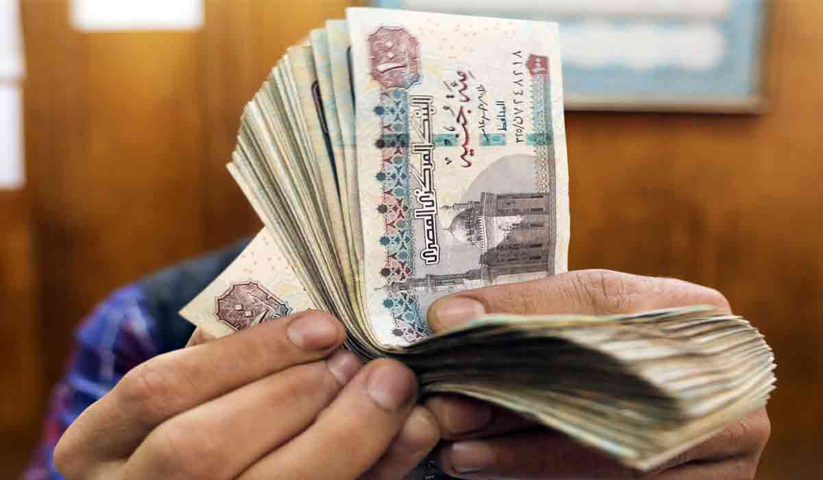 استعلام بالرقم القومي تكافل وكرامة 2024 تسجيل الدخول وأهم الشروط المطلوبة في مستفيدي البرنامج 5 استعلام بالرقم القومي تكافل وكرامة 2024 تسجيل الدخول وأهم الشروط المطلوبة في مستفيدي البرنامج